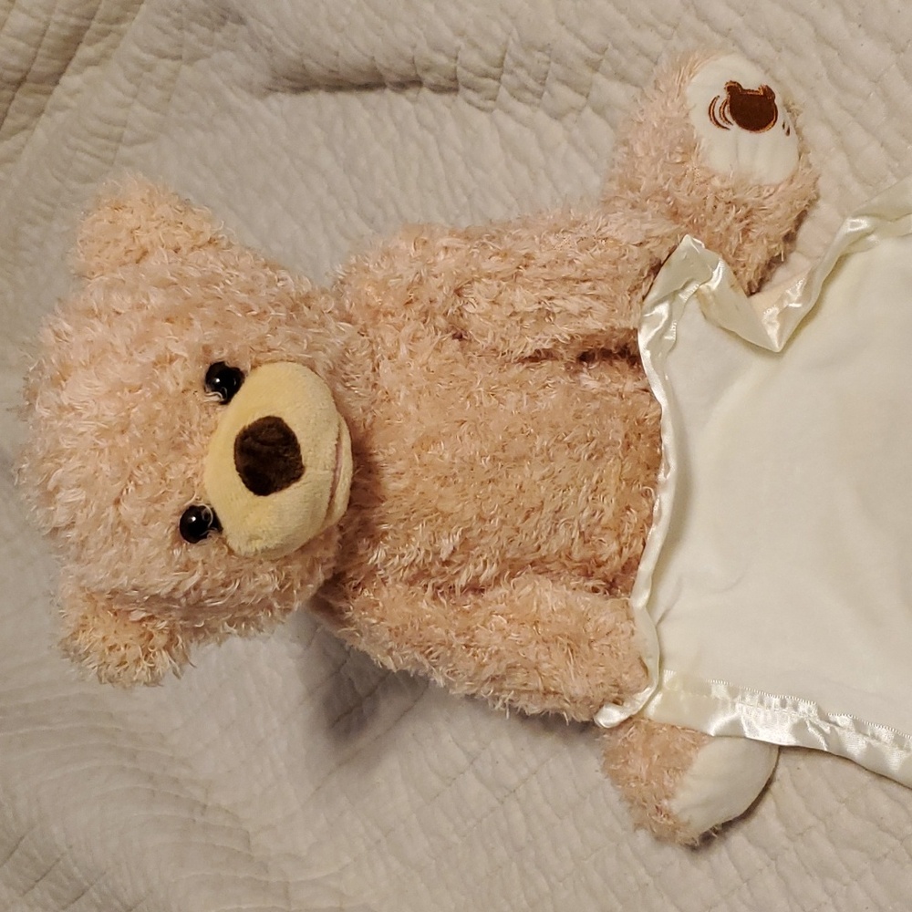 Peek a boo Teddy bear